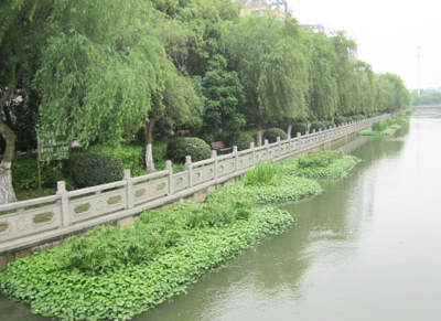 海寧市區河道生態修復 科技與綠色的融合之路
