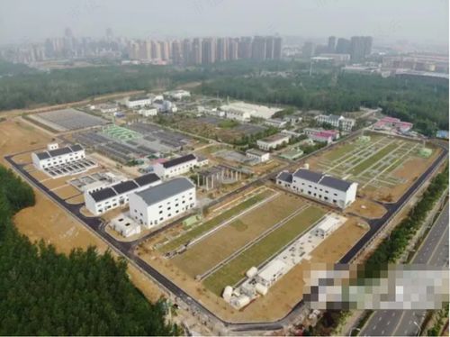 定向降息 市場預期傾斜性的調控強信號——2022年中國福利會假期經濟的后續觀察與實踐探索