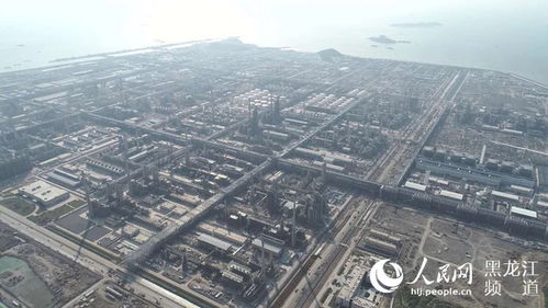 春啟新程 建投龍津浙石化全廠主管廊復工與河湖工程同步推進