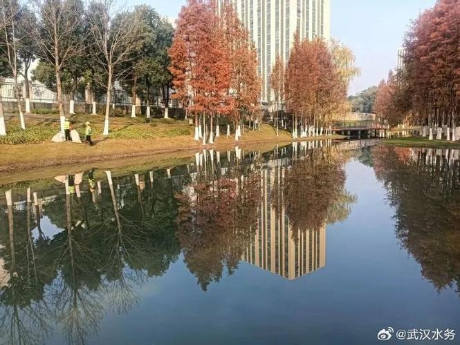 河湖 | 清淤植綠,龍山溪重現水清岸綠】最近,隨著一系列治理工程的